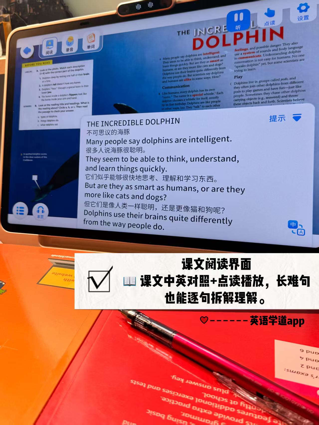 课文阅读界面