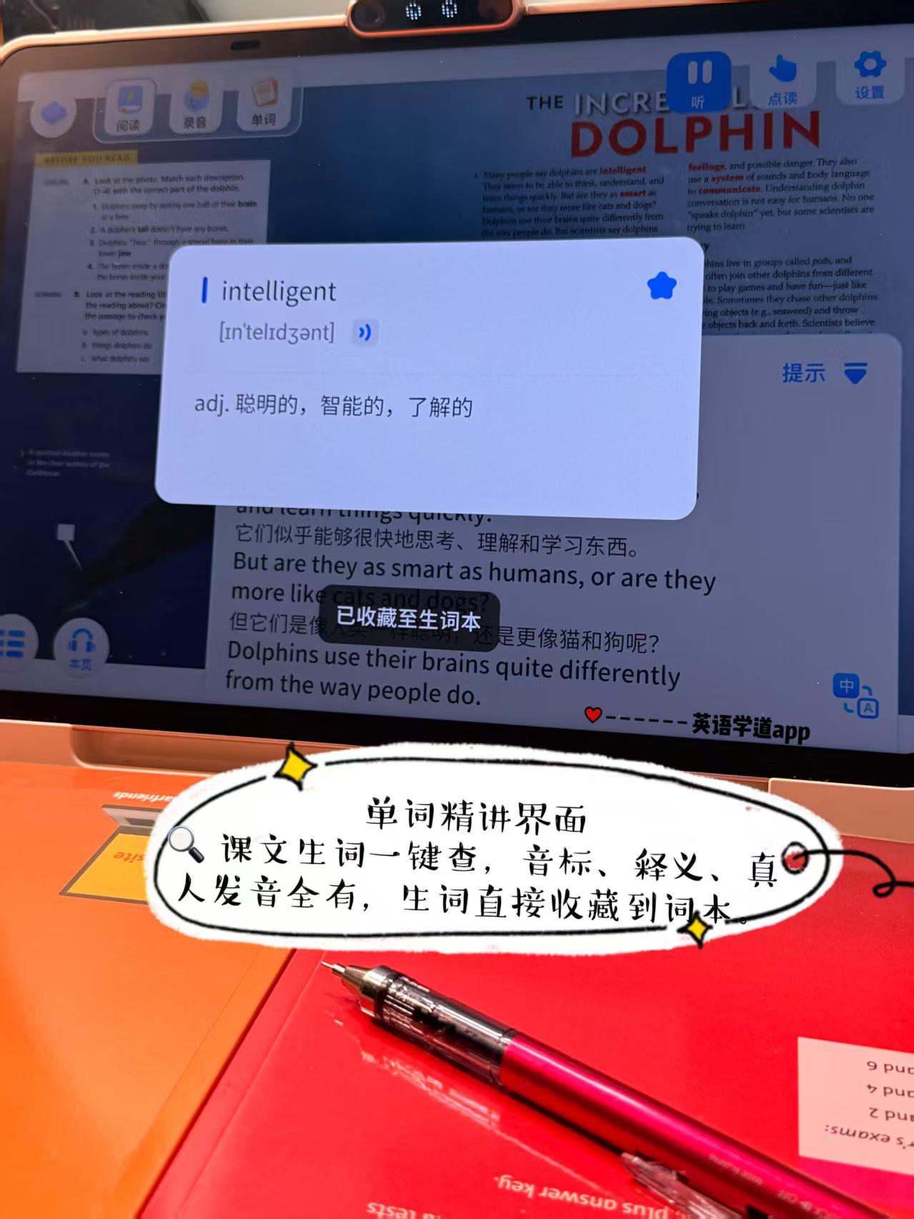 单词精讲界面