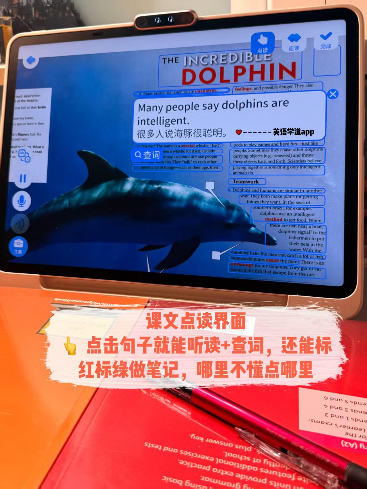 课文点读界面