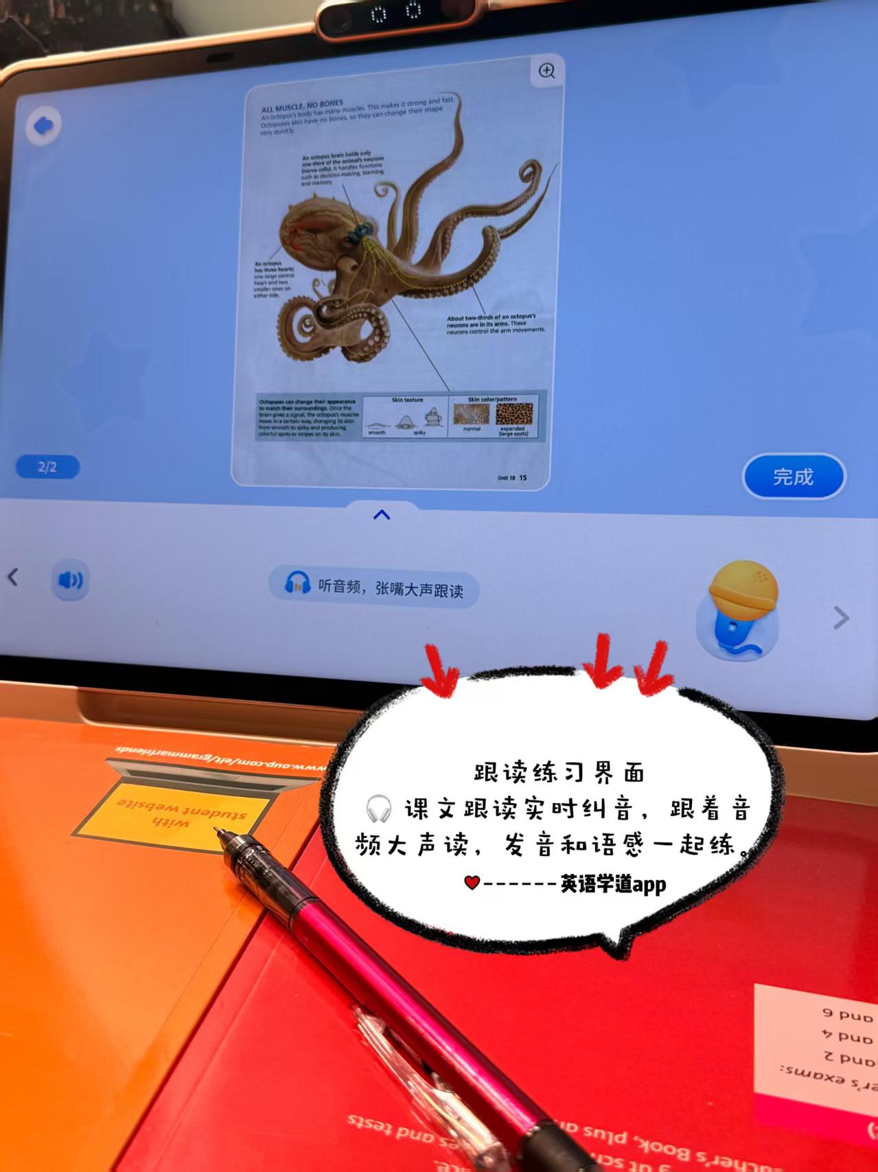 跟读练习界面