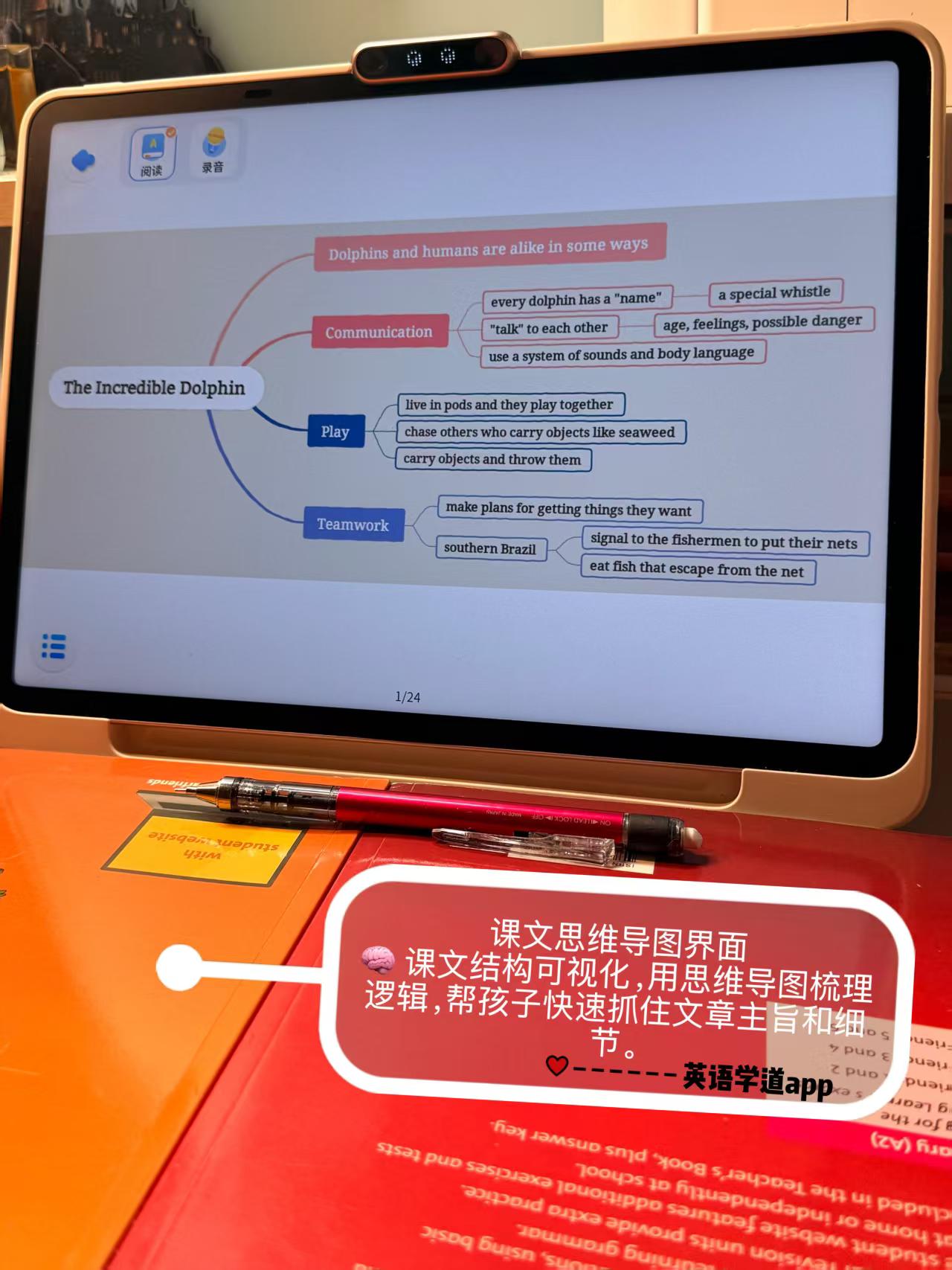课文思维导图