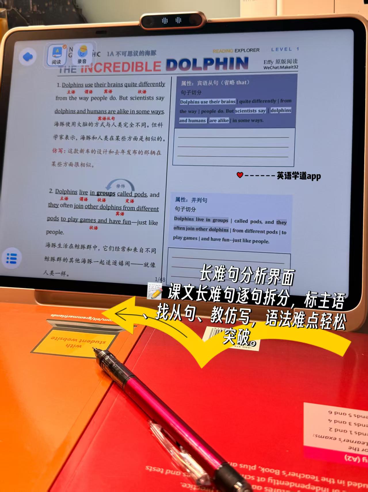 长难句分析界面