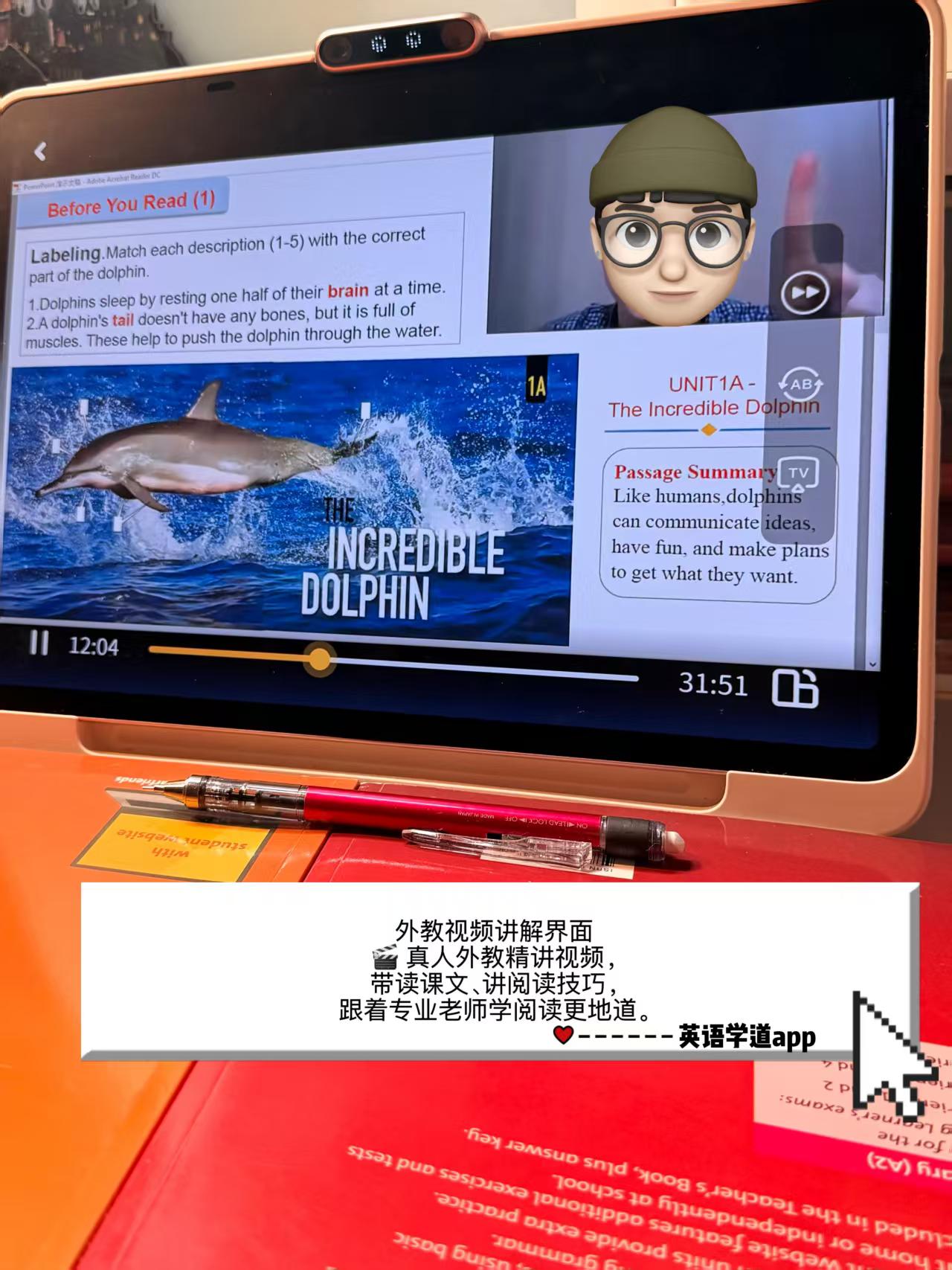 外教视频讲解